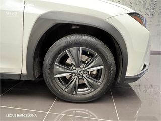 Lexus UX250H BUSNESS 2023 REF 1401
