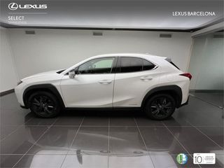 Lexus UX250H BUSNESS 2023 REF 1401
