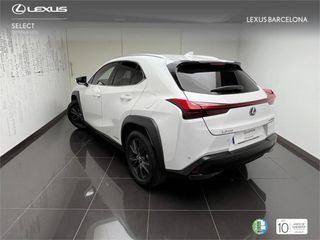 Lexus UX250H BUSNESS 2023 REF 1401