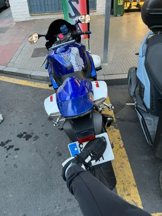 Suzuki GSX-R Sportbike Azul y Blanca