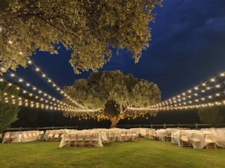 Fotografo de bodas con experiencia demostrable