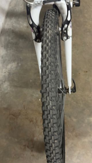 Bicicleta Blanca Montaña