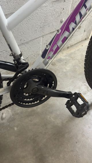 Bicicleta Blanca Montaña