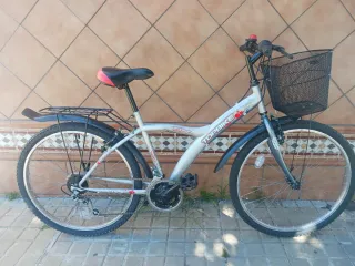 Bicicleta paseo 26 pulgadas