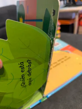 Lote libros solapas para bebés