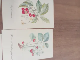 La tavolozza della Natura e quaderno tassotti