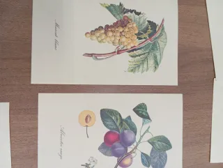 La tavolozza della Natura e quaderno tassotti