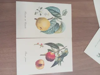 La tavolozza della Natura e quaderno tassotti