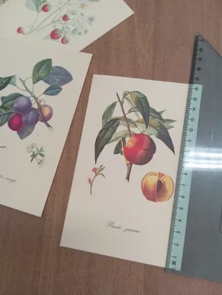 La tavolozza della Natura e quaderno tassotti