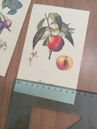 La tavolozza della Natura e quaderno tassotti