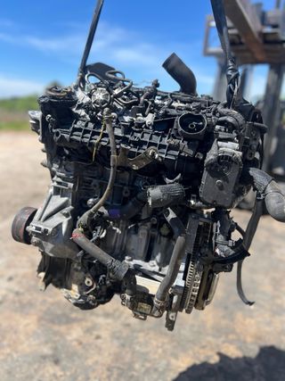 Motor 1.3 TCE HR13 H5H