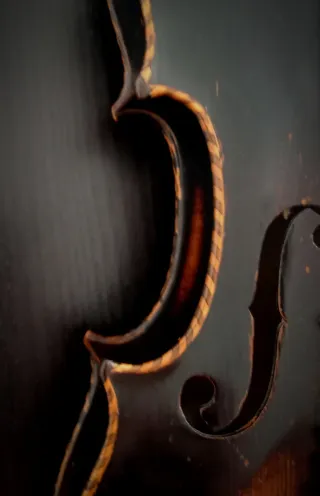 Violín Antiguo Mittenwald - Cabeza de León 1