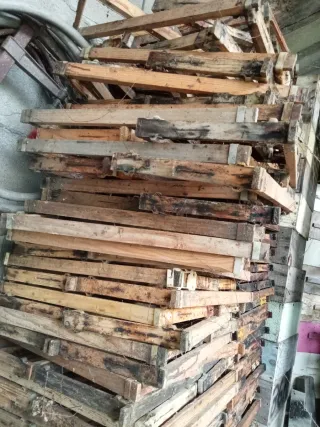 Cuadros Colmena Langstroth