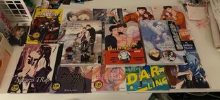 Lote 13 Mangas + Llaveros y Chapas