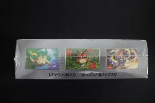 Pokemon TCG Terastal Festival Booster Box JP