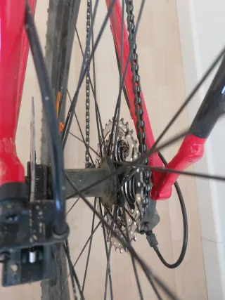 Bicicleta da Montagna Cannondale 7 Rossa 2023 taglia XL