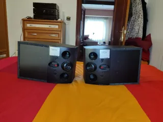 Altavoces Bosé 301 V