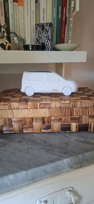 Luce notturna Citroen Berlingo