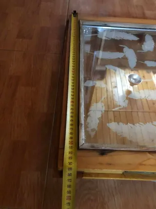 Ventana decorada con plumas