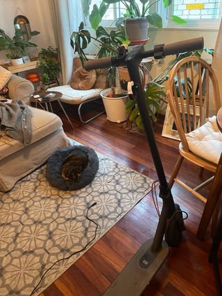 Patinete Xiaomi M365