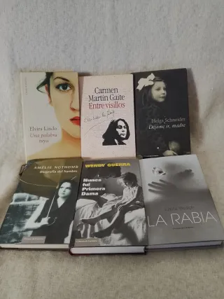 Lote 40 novelas
