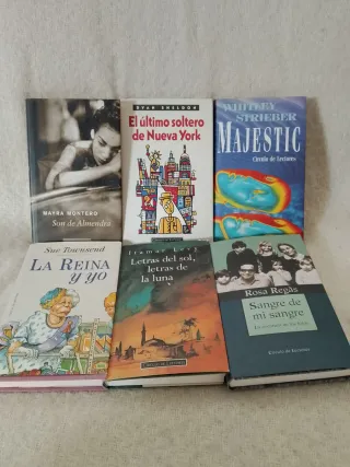Lote 40 novelas