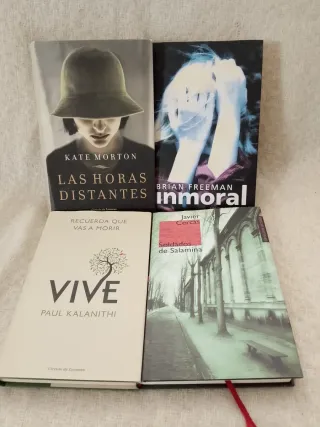 Lote 40 novelas
