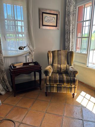 Sillón orejero de terciopelo a rayas