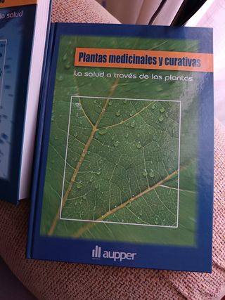 MEDICINA TRADICIONAL Y ALTERNATIVA