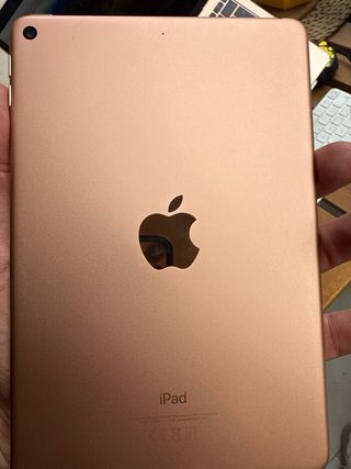 iPad mini 5 64GB WiFi + Caja Original