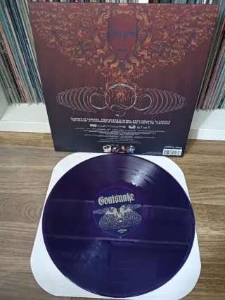 Goatsnake Flower Of Disease LP Vinilo Morado