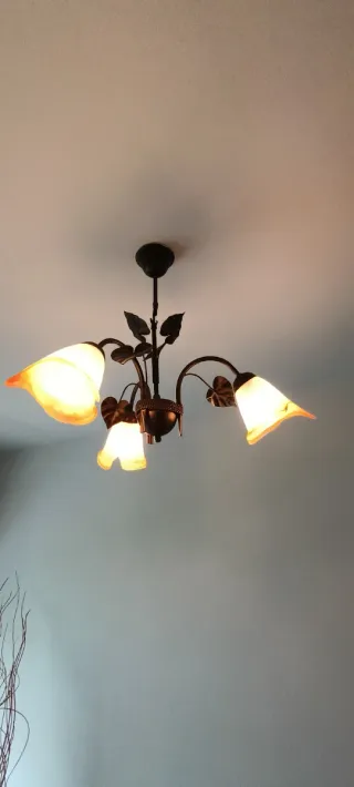 Lámparas de techo colgante..