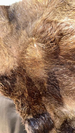 Abrigo de pelo auténtico