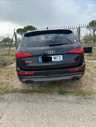 Audi SQ5 2013