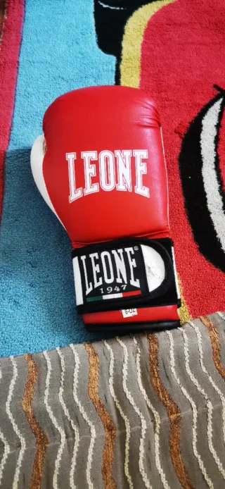 Guantoni da Boxe Rossi e Bianchi