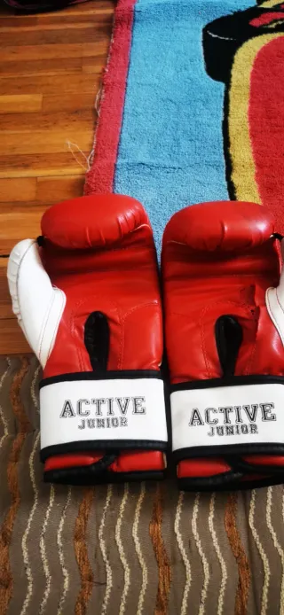 Guantoni da Boxe Rossi e Bianchi