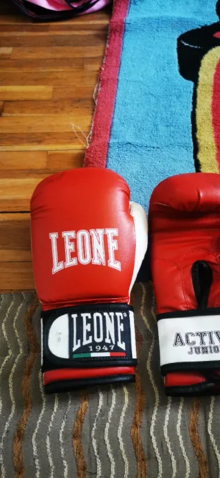 Guantoni da Boxe Rossi e Bianchi