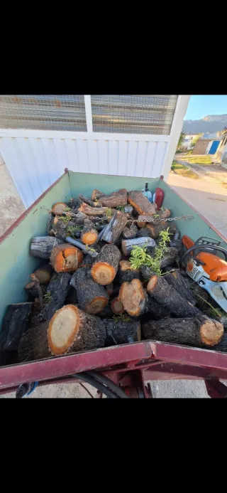 Leña de almendro verde