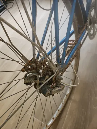 Bicicleta Orbea Vintage Azul