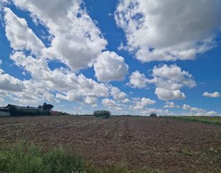 Terreno en venta en Viso de San Juan (El)