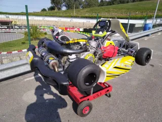 Evo kart KZ