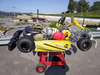 Evo kart KZ