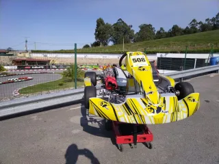 Evo kart KZ