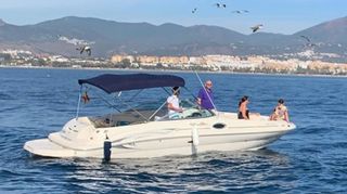 Sea Ray 240 - lista para navegar- todo al dia!!!!!