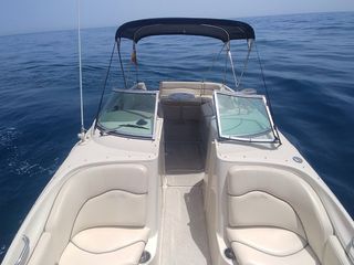 Sea Ray 240 - lista para navegar- todo al dia!!!!!