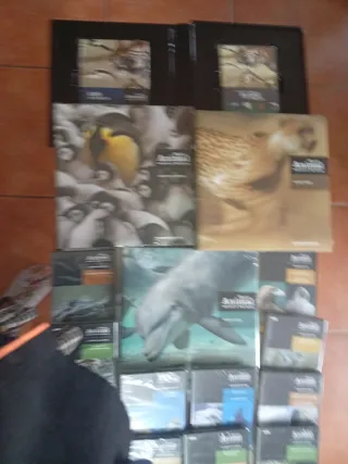 Colección DVDs Animal Planeta Discovery,nuevo con