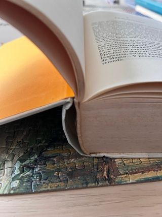 Harry Potter y la Orden del Fénix (Harry Potter...