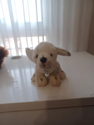 Pack de peluches variados