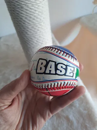 Pelota Béisbol Rep. Dominicana
