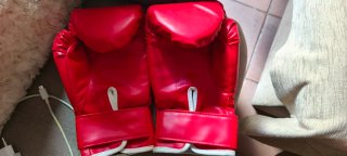 Pantalón Muay Thai Thaiboxing o boxeo+ guantes